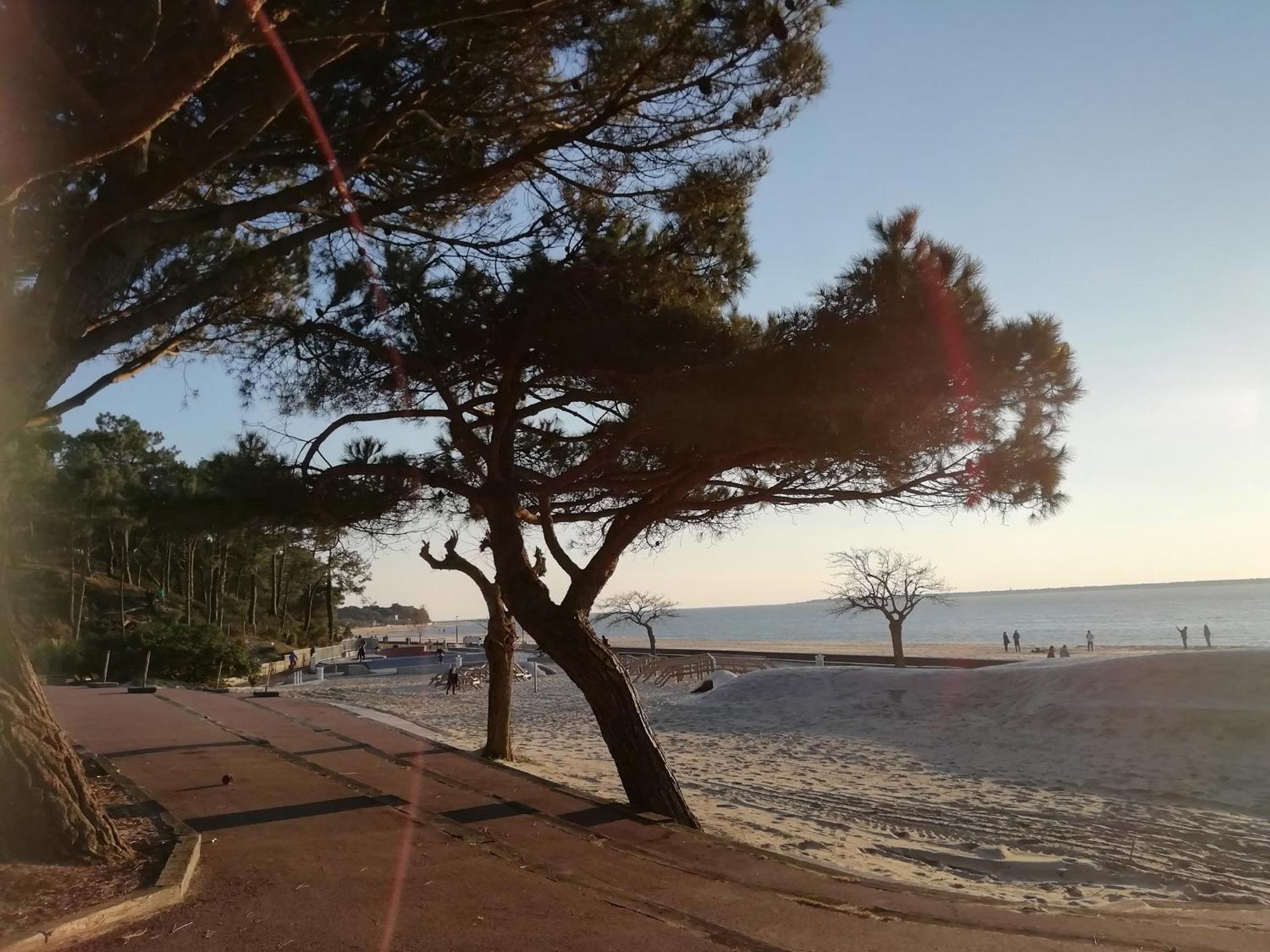 Superbe Appartement 4 Personnes Arcachon Abatilles Avec Parking 500M Plage Pereire Bagian luar foto